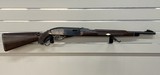 REMINGTON Nylon 76 .22 LR - 1 of 3