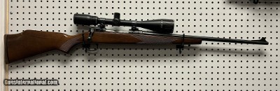 SAVAGE ARMS 110 .223 REM