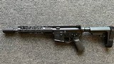 PALMETTO STATE ARMORY PA-15 5.56X45MM NATO - 2 of 2