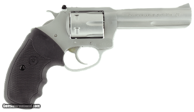 CHARTER ARMS TARGET PATHFINDER .22 LR