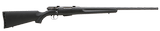 SAVAGE ARMS 25 .17 HORNET - 1 of 1