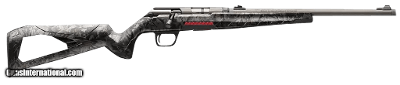 WINCHESTER XPERT SR .22 LR