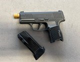 SIG SAUER P365-9-BXR3 9MM FLOBERT (9MM RIMFIRE) - 3 of 3