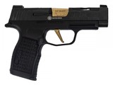 Sig Sauer P365 XL Spectre Custom Works 9MM LUGER (9X19 PARA) - 1 of 1