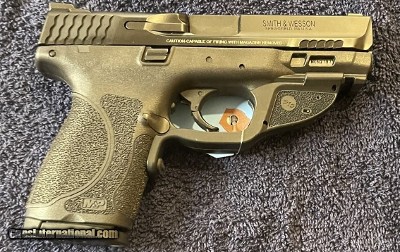 SMITH & WESSON M&P9 M2.0 9MM LUGER (9X19 PARA)