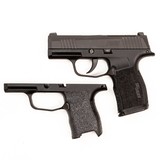 SIG SAUER P365 .38 ACP - 1 of 3