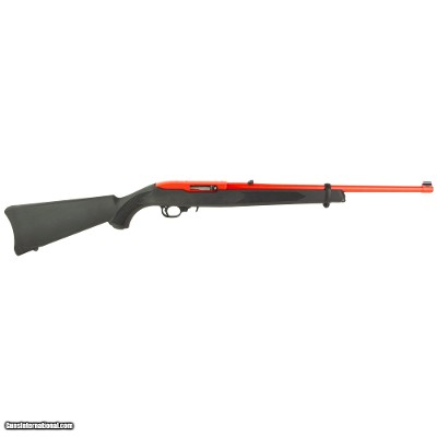 RUGER 10/22 CARBINE .22 LR