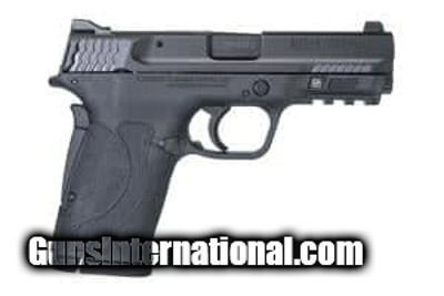 SMITH & WESSON M&P 380 SHIELD EZ .380 ACP