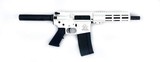 GREAT LAKES FIREARMS AR-15 .223 REM/5.56 NATO - 1 of 1