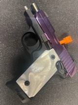 SIG SAUER P238 .380 ACP - 1 of 3