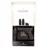 SPRINGFIELD ARMORY ECHELON 9MM LUGER (9X19 PARA) - 3 of 3