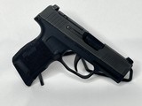 SIG SAUER P365 .380 OR .380 ACP - 2 of 3
