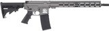 GREAT LAKES FIREARMS AR-15 .223 WYLDE - 1 of 1