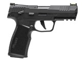 SIG SAUER P322 .22 LR - 1 of 1