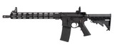 RAPTOR ARMS CO., INC. RD15 .300 AAC BLACKOUT - 1 of 1