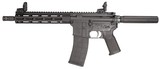 Tippmann Arms ELITE Pistol .22 LR - 3 of 3