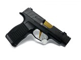 SIG SAUER P365 9MM LUGER (9X19 PARA) - 1 of 2