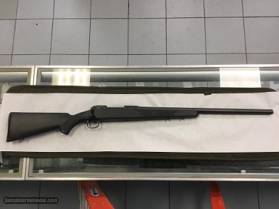 SAVAGE ARMS 10 Tactical .308 WIN