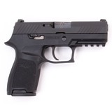 SIG SAUER P320 COMPACT 9MM LUGER (9X19 PARA) - 2 of 3