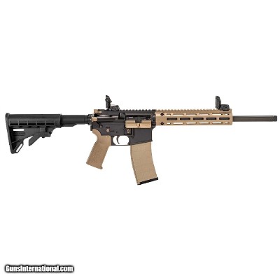 TIPPMANN ARMS M4-22 LTE ACCENTS .22 LR