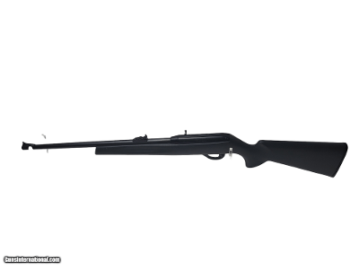 REMINGTON 597 .22 LR