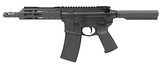 PALMETTO STATE ARMORY Brace-15 .223 WYLDE - 1 of 3