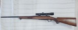 RUGER M77 .243 WIN