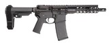 Stag Arms Stag-15 .300 AAC BLACKOUT