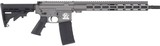 GREAT LAKES FIREARMS AR-15 .223 WYLDE - 1 of 1