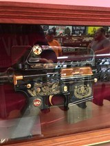 BUSHMASTER XM15-E2S VIETNAM CLONE! .223 REM/5.56 NATO - 1 of 3