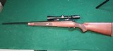 WINCHESTER 70 sa featherweight .243 WIN - 3 of 3