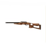 Magnum Lite .22 LR