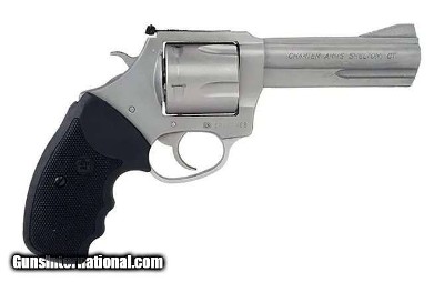 Charter Arms Pitbulll .357 MAG