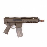 PALMETTO STATE ARMORY JAKL .300 AAC BLACKOUT - 2 of 2