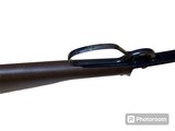 HENRY Small Game Carbine - H001TLP .22 LR - 2 of 3