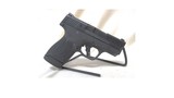 SMITH & WESSON M&P 9 SHIELD PLUS 9MM LUGER (9X19 PARA) - 2 of 3