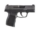 SIG SAUER P365-380 .380 ACP - 1 of 3