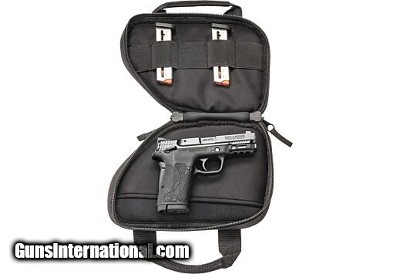 SMITH & WESSON M&P SHIELD M2.0 .380 ACP