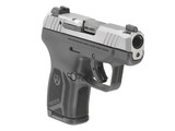 RUGER LCP MAX .380 ACP - 3 of 3