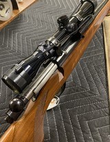 RUGER M77 .264 WIN MAG - 3 of 3