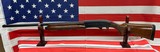 REMINGTON 1100 MAGNUM 12 GA - 1 of 3