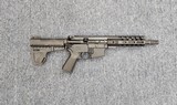 PALMETTO STATE ARMORY PA-15 .300 AAC BLACKOUT - 1 of 2