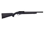 RUGER 10/22 .22 LR - 1 of 1