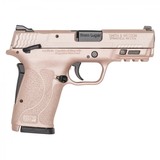 SMITH & WESSON M&P9 SHIELD EZ 9MM LUGER (9X19 PARA)