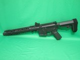 PALMETTO STATE ARMORY PA-15 5.56X45MM NATO - 3 of 3