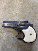 HI-STANDARD DERRINGER .22 WMR - 2 of 3