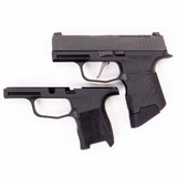 SIG SAUER P365 .380 ACP - 1 of 3