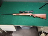 RUGER 77/17 .17 HMR - 3 of 3