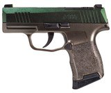 SIG SAUER P365 9MM LUGER (9X19 PARA) - 1 of 1