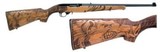 RUGER 10/22 WILD HOG .22 LR